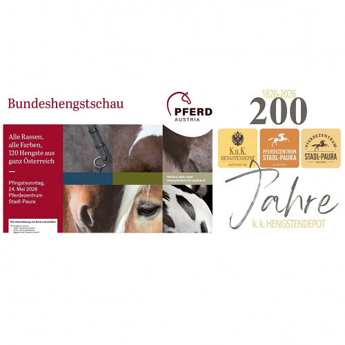 Bundeshengstschau 2026